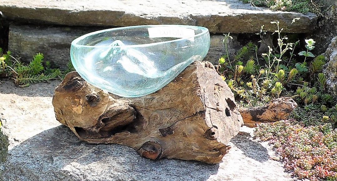 Glas Auf Holz Wurzel